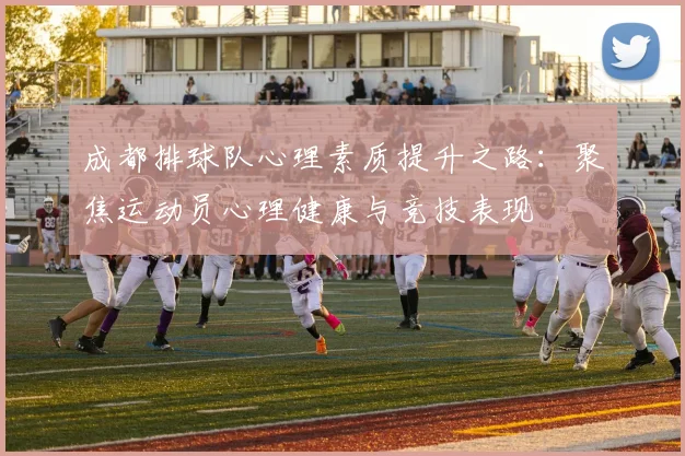 成都排球队心理素质提升之路：聚焦运动员心理健康与竞技表现